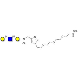 Core type 2 triose grafted on gel for affinity chromatography (Linker-GEL A)