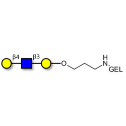 Core type 2 triose grafted on gel for affinity chromatography (Linker-GEL B)