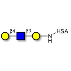 Core type 2 triose grafted on HSA