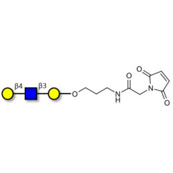 Core type 2 triose linked to maleimide (Linker-MAL A)