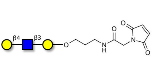 Core type 2 triose linked to maleimide (Linker-MAL A)