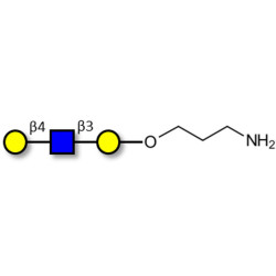 Core type 2 triose with free terminal amine (Linker-NH2 A)