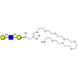 Core type 2 triose with free terminal amine (Linker-NH2 C)