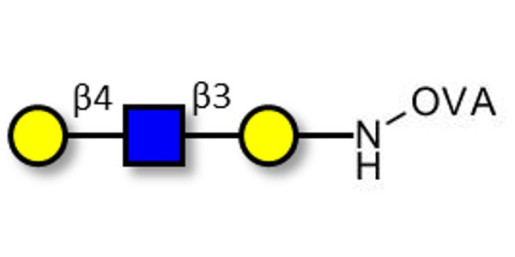 Core type 2 triose grafted on OVA