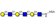 Tri-N-Acetyl-D-Lactosamine...
