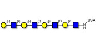 Tetra-N-Acetyl-D-Lactosamin...