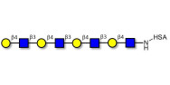 Tetra-N-Acetyl-D-Lactosamin...