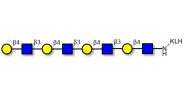 Tetra-N-Acetyl-D-Lactosamin...
