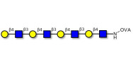 Tetra-N-Acetyl-D-Lactosamin...