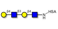 Di-N-Acetyl-D-Lactosamine...