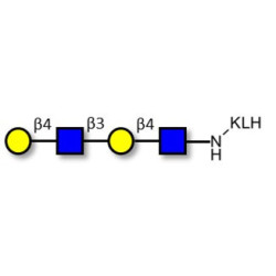 Di-N-Acetyl-D-Lactosamine grafted on KLH