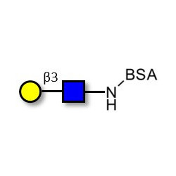 Lacto-N-Biose / N-Acetyl-D-Lactosamine (LacNAc) type I grafted on BSA