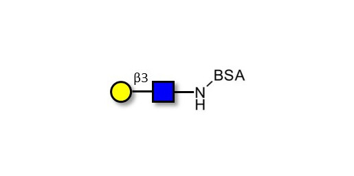 Lacto-N-Biose / N-Acetyl-D-Lactosamine (LacNAc) type I grafted on BSA - 2-Acetamido-2-deoxy-3-O-(β-D-galactopyranosyl)-D-glucopyranose