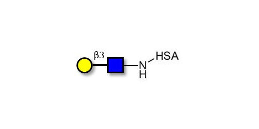 Lacto-N-Biose / N-Acetyl-D-Lactosamine (LacNAc) type I grafted on HSA - 2-Acetamido-2-deoxy-3-O-(β-D-galactopyranosyl)-D-glucopyranose