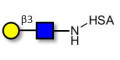 Lacto-N-Biose / N-Acetyl-D-Lactosamine (LacNAc) type I grafted on HSA - 2-Acetamido-2-deoxy-3-O-(β-D-galactopyranosyl)-D-glucopyranose