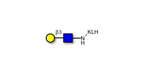 Lacto-N-Biose / N-Acetyl-D-Lactosamine (LacNAc) type I grafted on KLH - 2-Acetamido-2-deoxy-3-O-(β-D-galactopyranosyl)-D-glucopyranose