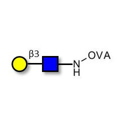 Lacto-N-Biose / N-Acetyl-D-Lactosamine (LacNAc) type I grafted on OVA