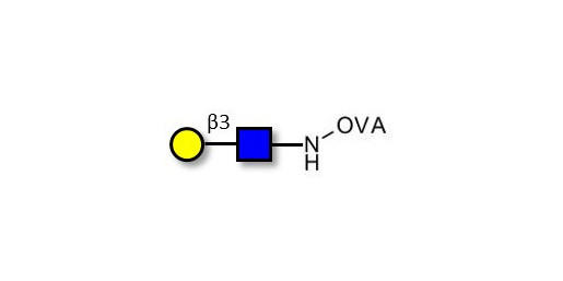 Lacto-N-Biose / N-Acetyl-D-Lactosamine (LacNAc) type I grafted on OVA - 2-Acetamido-2-deoxy-3-O-(β-D-galactopyranosyl)-D-glucopyranose