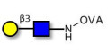 Lacto-N-Biose / N-Acetyl-D-Lactosamine (LacNAc) type I grafted on OVA - 2-Acetamido-2-deoxy-3-O-(β-D-galactopyranosyl)-D-glucopyranose