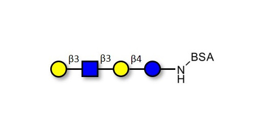 Lacto-N-tetraose (LNT) grafted on BSA - LNT