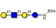 Lacto-N-tetraose (LNT)...