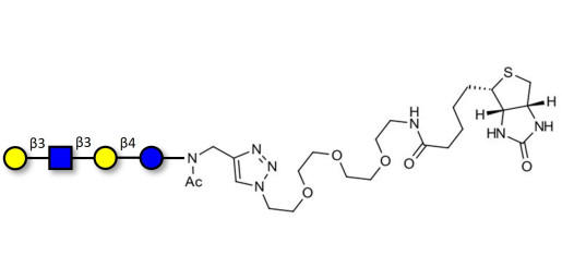 Lacto-N-tetraose (LNT) linked to biotin (Linker-BT A) - GLY010-NAc-sp3-Bt;LNT