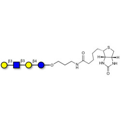 Lacto-N-tetraose (LNT) linked to biotin (Linker-BT B)