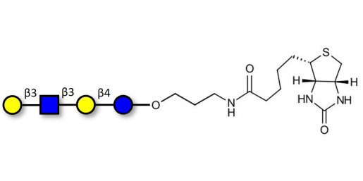 Lacto-N-tetraose (LNT) linked to biotin (Linker-BT B) - LNT