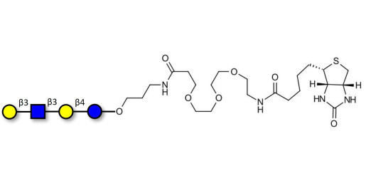 Lacto-N-tetraose (LNT) linked to biotin (Linker-BT C) - LNT