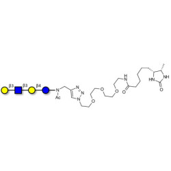 Lacto-N-tetraose (LNT) linked to desthiobiotin (Linker-DBT-A)