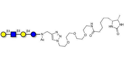 Lacto-N-tetraose (LNT) linked to desthiobiotin (Linker-DBT-A) - LNT