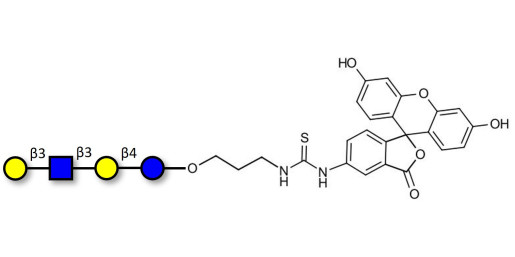 Lacto-N-tetraose (LNT) linked to fluorescein (Linker-FLUO A) - LNT