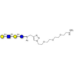 Lacto-N-tetraose (LNT) grafted on gel for affinity chromatography (Linker-GEL A)