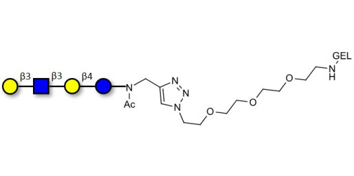 Lacto-N-tetraose (LNT) grafted on gel for affinity chromatography (Linker-GEL A) - LNT