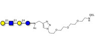 Lacto-N-tetraose (LNT)...