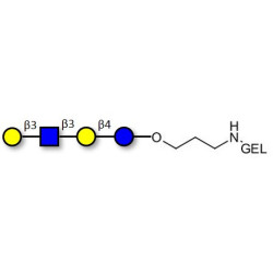 Lacto-N-tetraose (LNT) grafted on gel for affinity chromatography (Linker-GEL B)