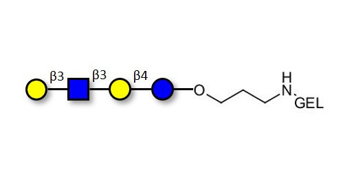 Lacto-N-tetraose (LNT) grafted on gel for affinity chromatography (Linker-GEL B) - LNT