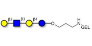 Lacto-N-tetraose (LNT)...