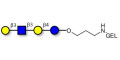 Lacto-N-tetraose (LNT) grafted on gel for affinity chromatography (Linker-GEL B) - LNT
