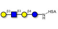Lacto-N-tetraose (LNT) grafted on HSA - LNT
