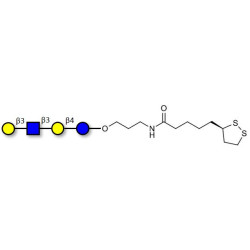 Lacto-N-tetraose (LNT) with cyclic di-thiol (Linker-LIPO A)