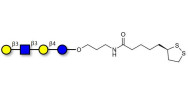 Lacto-N-tetraose (LNT) with...
