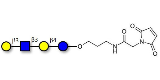 Lacto-N-tetraose (LNT) linked to maleimide (Linker-MAL A) - LNT