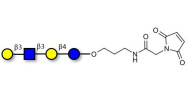 Lacto-N-tetraose (LNT)...