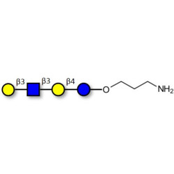 Lacto-N-tetraose (LNT) with free terminal amine (Linker-NH2 A)