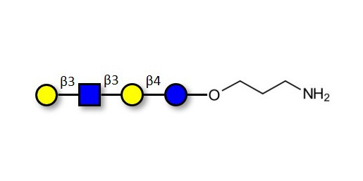Lacto-N-tetraose (LNT) with free terminal amine (Linker-NH2 A) - GLY010-OAPb;LNT