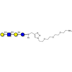 Lacto-N-tetraose (LNT) with free terminal amine (Linker-NH2 B)