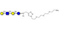 Lacto-N-tetraose (LNT) with free terminal amine (Linker-NH2 B) - LNT