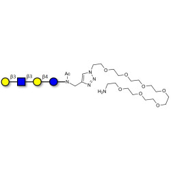 Lacto-N-tetraose (LNT) with free terminal amine (Linker-NH2 C)