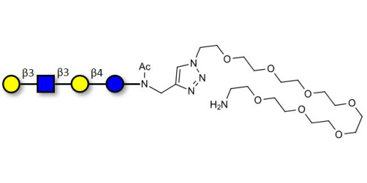 Lacto-N-tetraose (LNT) with free terminal amine (Linker-NH2 C) - LNT